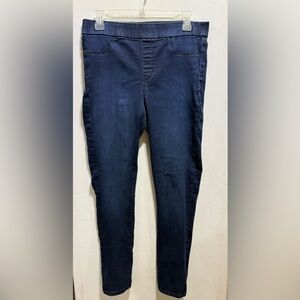 Gloria Vanderbilt Blue Jeggings with Classic Fit